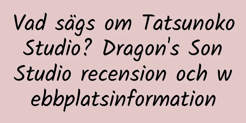 Vad sägs om Tatsunoko Studio? Dragon's Son Studio recension och webbplatsinformation