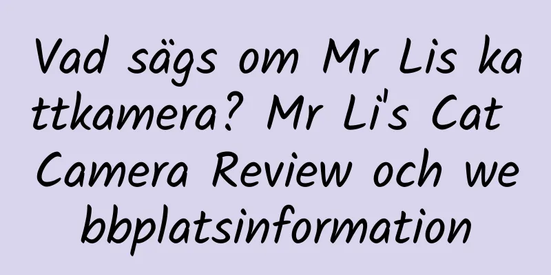 Vad sägs om Mr Lis kattkamera? Mr Li's Cat Camera Review och webbplatsinformation