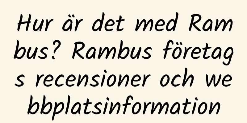 Hur är det med Rambus? Rambus företags recensioner och webbplatsinformation
