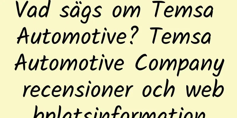 Vad sägs om Temsa Automotive? Temsa Automotive Company recensioner och webbplatsinformation