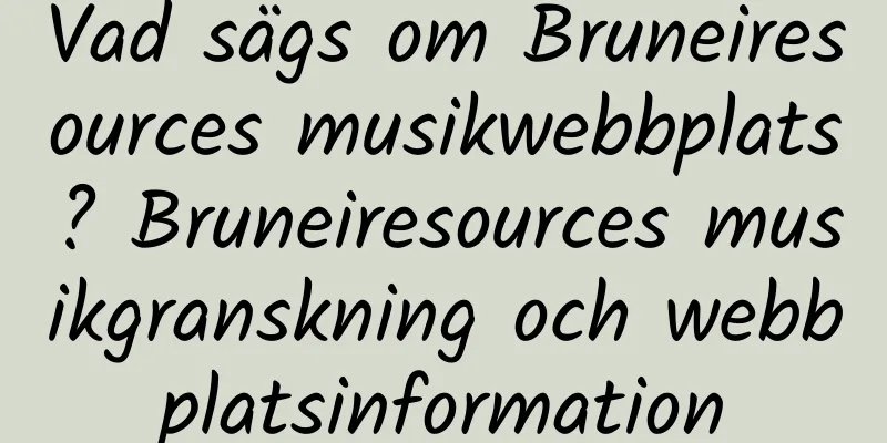 Vad sägs om Bruneiresources musikwebbplats? Bruneiresources musikgranskning och webbplatsinformation