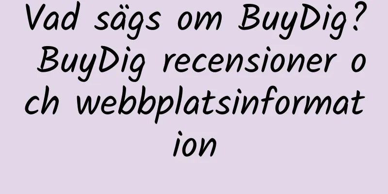 Vad sägs om BuyDig? BuyDig recensioner och webbplatsinformation