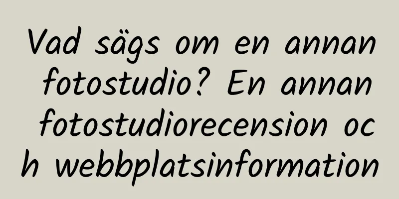 Vad sägs om en annan fotostudio? En annan fotostudiorecension och webbplatsinformation