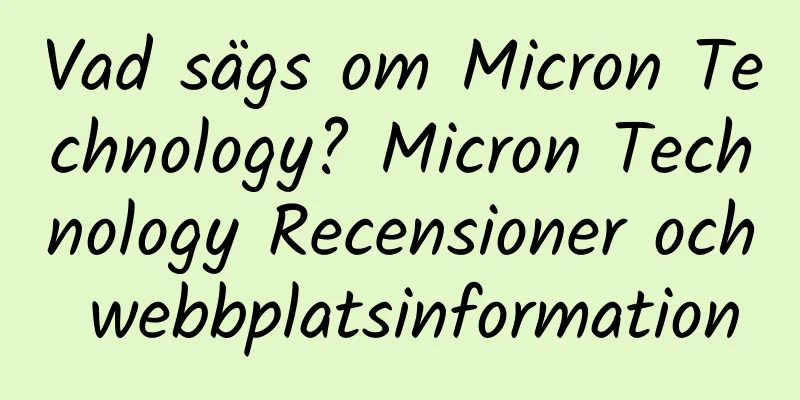 Vad sägs om Micron Technology? Micron Technology Recensioner och webbplatsinformation