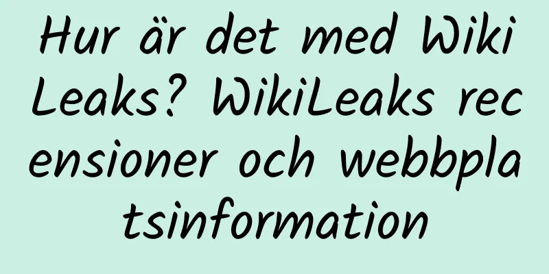 Hur är det med WikiLeaks? WikiLeaks recensioner och webbplatsinformation