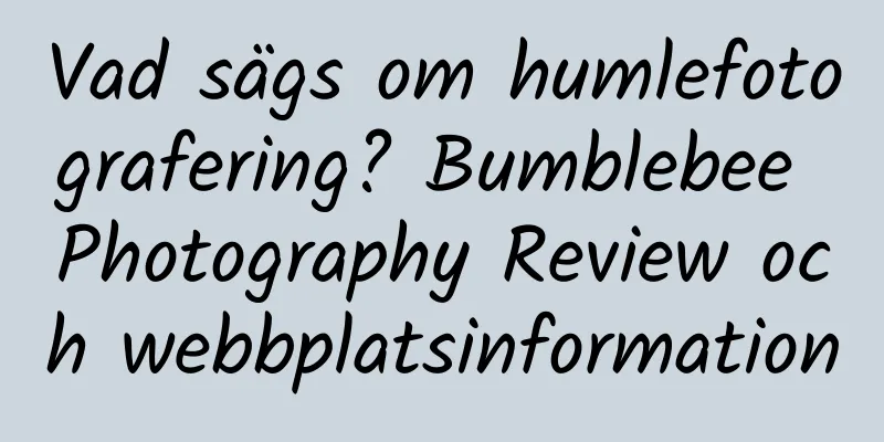 Vad sägs om humlefotografering? Bumblebee Photography Review och webbplatsinformation