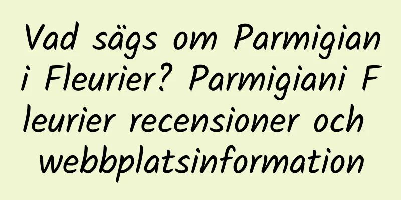 Vad sägs om Parmigiani Fleurier? Parmigiani Fleurier recensioner och webbplatsinformation