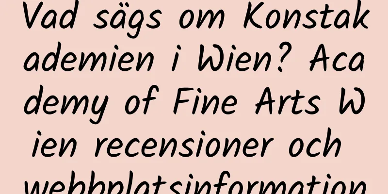 Vad sägs om Konstakademien i Wien? Academy of Fine Arts Wien recensioner och webbplatsinformation