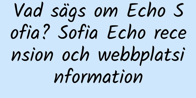 Vad sägs om Echo Sofia? Sofia Echo recension och webbplatsinformation