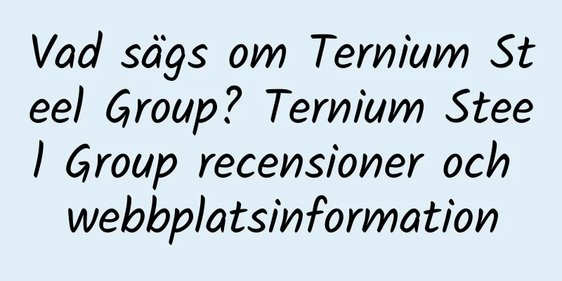 Vad sägs om Ternium Steel Group? Ternium Steel Group recensioner och webbplatsinformation