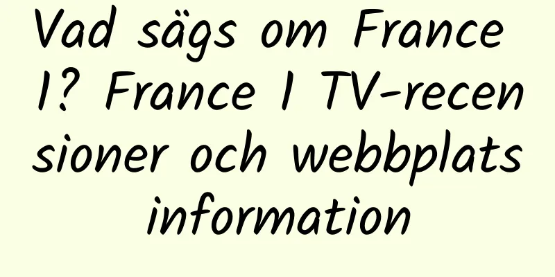 Vad sägs om France 1? France 1 TV-recensioner och webbplatsinformation
