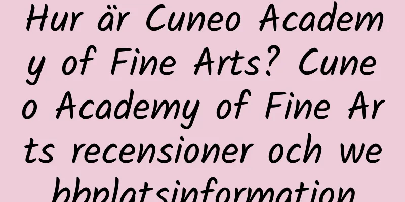 Hur är Cuneo Academy of Fine Arts? Cuneo Academy of Fine Arts recensioner och webbplatsinformation