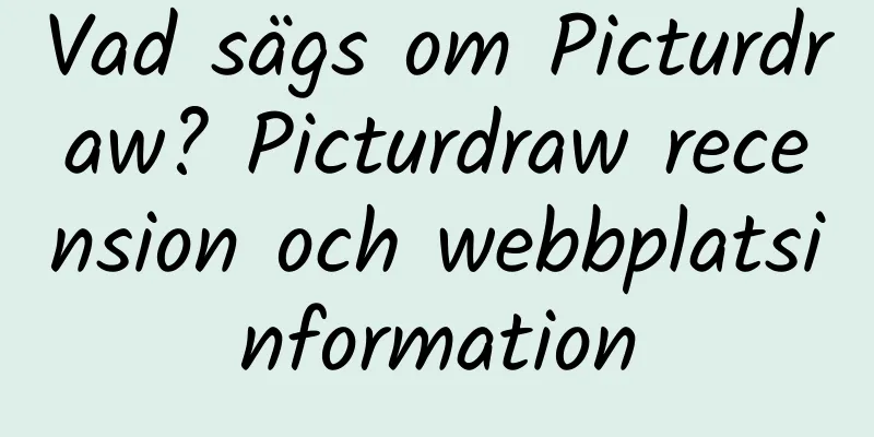 Vad sägs om Picturdraw? Picturdraw recension och webbplatsinformation