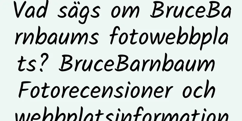 Vad sägs om BruceBarnbaums fotowebbplats? BruceBarnbaum Fotorecensioner och webbplatsinformation