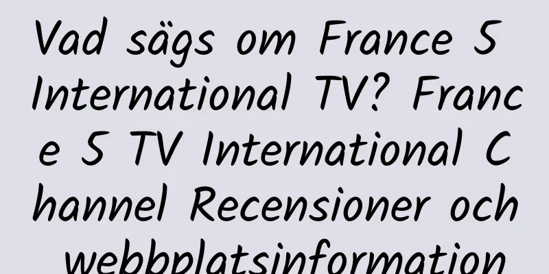 Vad sägs om France 5 International TV? France 5 TV International Channel Recensioner och webbplatsinformation