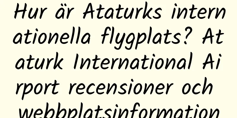 Hur är Ataturks internationella flygplats? Ataturk International Airport recensioner och webbplatsinformation