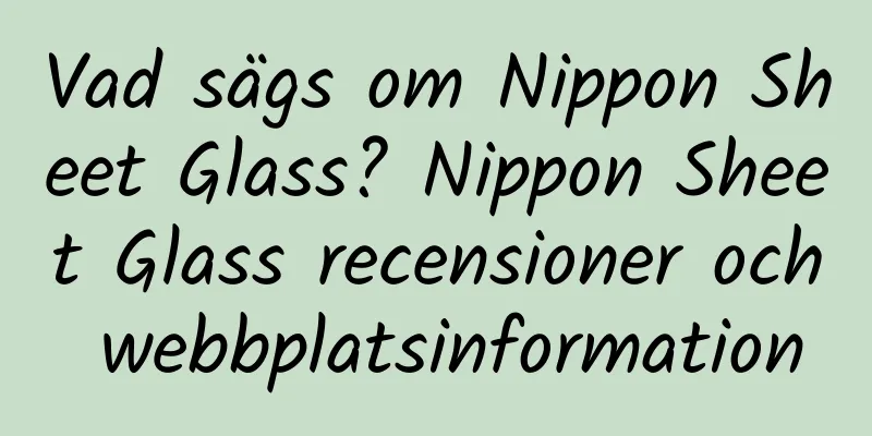 Vad sägs om Nippon Sheet Glass? Nippon Sheet Glass recensioner och webbplatsinformation