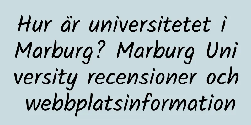 Hur är universitetet i Marburg? Marburg University recensioner och webbplatsinformation
