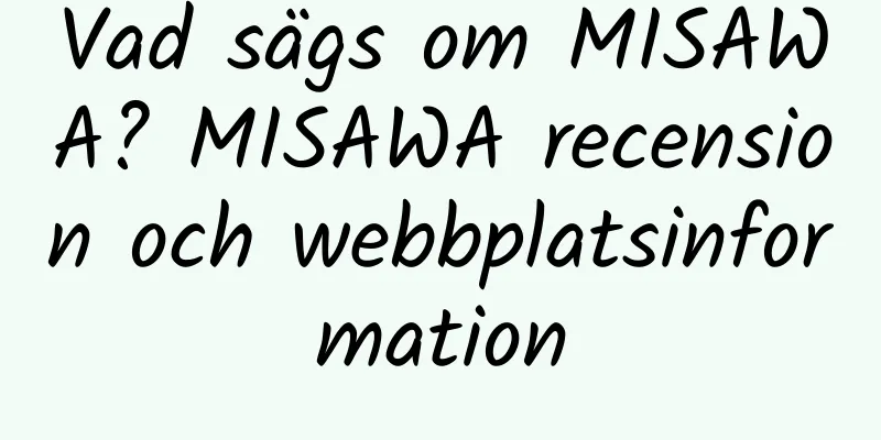 Vad sägs om MISAWA? MISAWA recension och webbplatsinformation