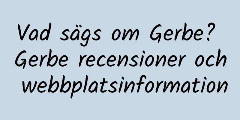 Vad sägs om Gerbe? Gerbe recensioner och webbplatsinformation