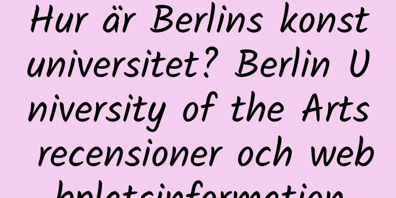 Hur är Berlins konstuniversitet? Berlin University of the Arts recensioner och webbplatsinformation