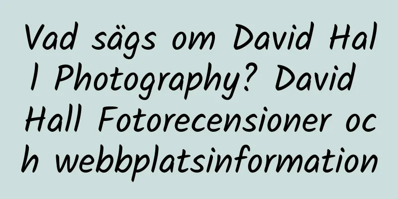 Vad sägs om David Hall Photography? David Hall Fotorecensioner och webbplatsinformation