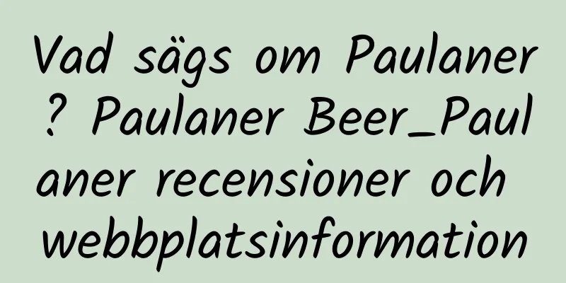 Vad sägs om Paulaner? Paulaner Beer_Paulaner recensioner och webbplatsinformation
