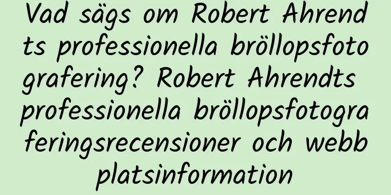 Vad sägs om Robert Ahrendts professionella bröllopsfotografering? Robert Ahrendts professionella bröllopsfotograferingsrecensioner och webbplatsinformation