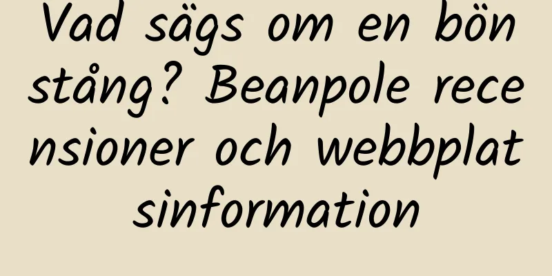 Vad sägs om en bönstång? Beanpole recensioner och webbplatsinformation
