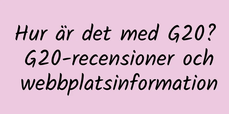Hur är det med G20? G20-recensioner och webbplatsinformation