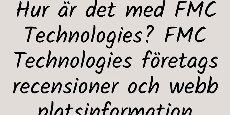 Hur är det med FMC Technologies? FMC Technologies företagsrecensioner och webbplatsinformation