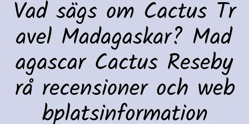 Vad sägs om Cactus Travel Madagaskar? Madagascar Cactus Resebyrå recensioner och webbplatsinformation