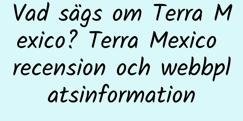 Vad sägs om Terra Mexico? Terra Mexico recension och webbplatsinformation