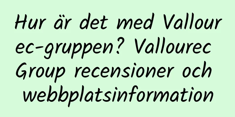 Hur är det med Vallourec-gruppen? Vallourec Group recensioner och webbplatsinformation
