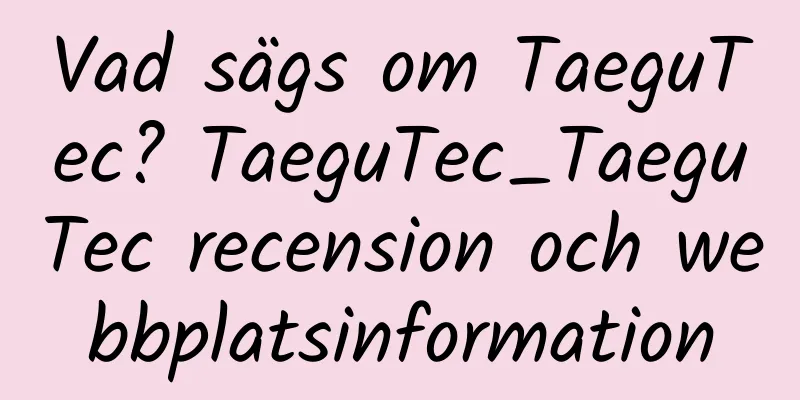 Vad sägs om TaeguTec? TaeguTec_TaeguTec recension och webbplatsinformation