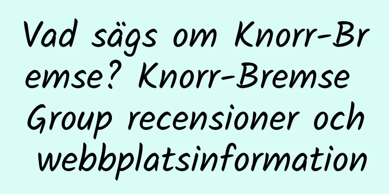 Vad sägs om Knorr-Bremse? Knorr-Bremse Group recensioner och webbplatsinformation