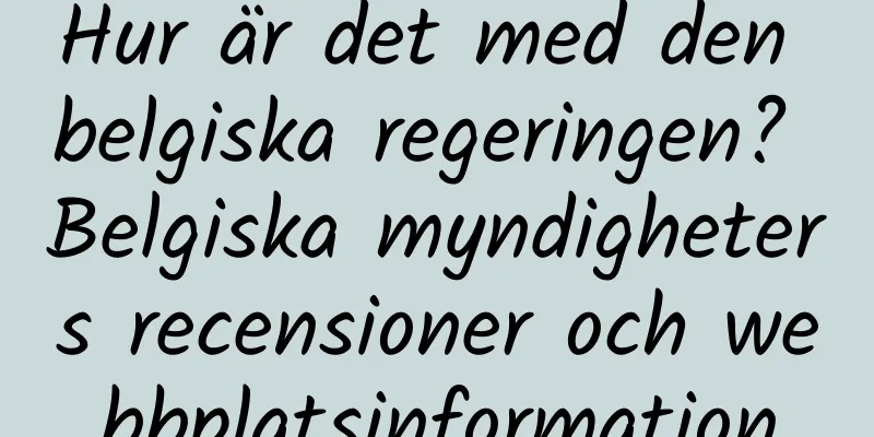 Hur är det med den belgiska regeringen? Belgiska myndigheters recensioner och webbplatsinformation