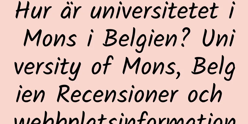 Hur är universitetet i Mons i Belgien? University of Mons, Belgien Recensioner och webbplatsinformation