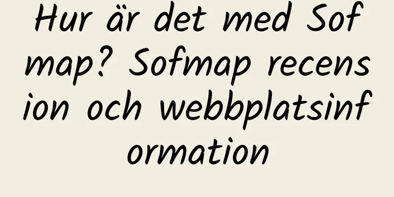 Hur är det med Sofmap? Sofmap recension och webbplatsinformation