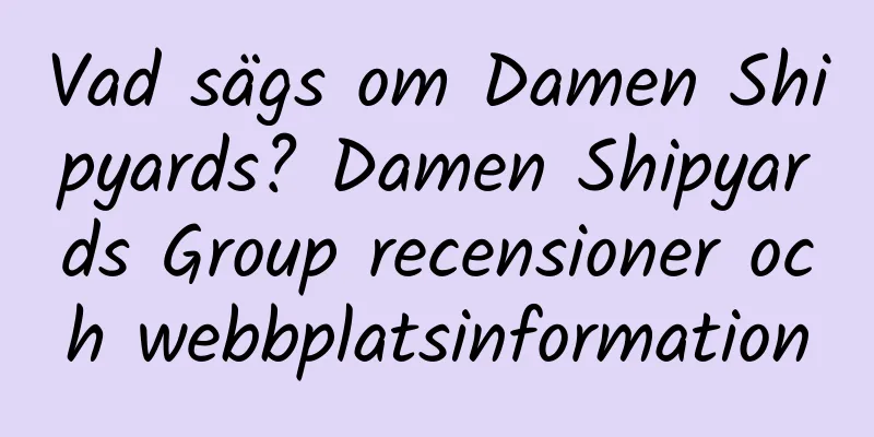 Vad sägs om Damen Shipyards? Damen Shipyards Group recensioner och webbplatsinformation