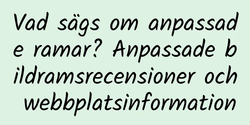 Vad sägs om anpassade ramar? Anpassade bildramsrecensioner och webbplatsinformation