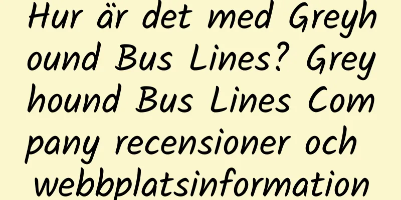 Hur är det med Greyhound Bus Lines? Greyhound Bus Lines Company recensioner och webbplatsinformation