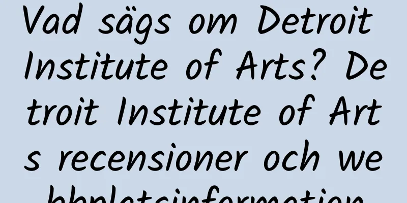 Vad sägs om Detroit Institute of Arts? Detroit Institute of Arts recensioner och webbplatsinformation