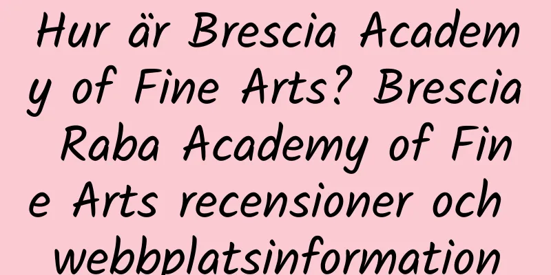Hur är Brescia Academy of Fine Arts? Brescia Raba Academy of Fine Arts recensioner och webbplatsinformation