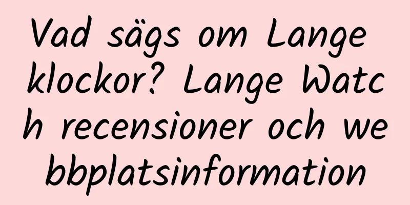 Vad sägs om Lange klockor? Lange Watch recensioner och webbplatsinformation