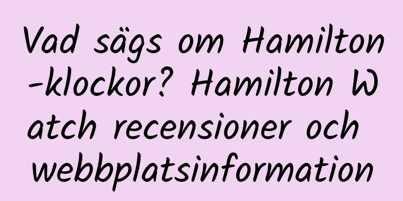 Vad sägs om Hamilton-klockor? Hamilton Watch recensioner och webbplatsinformation
