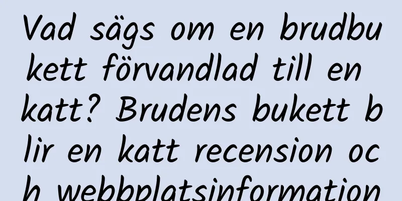 Vad sägs om en brudbukett förvandlad till en katt? Brudens bukett blir en katt recension och webbplatsinformation