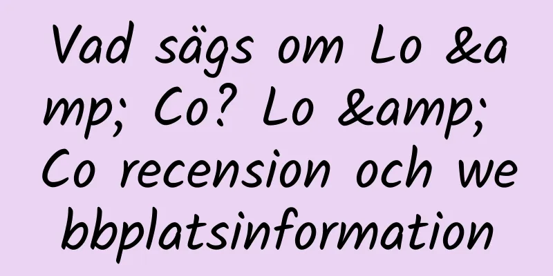 Vad sägs om Lo & Co? Lo & Co recension och webbplatsinformation