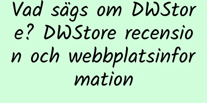 Vad sägs om DWStore? DWStore recension och webbplatsinformation