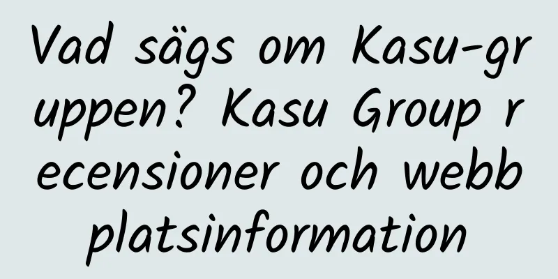 Vad sägs om Kasu-gruppen? Kasu Group recensioner och webbplatsinformation